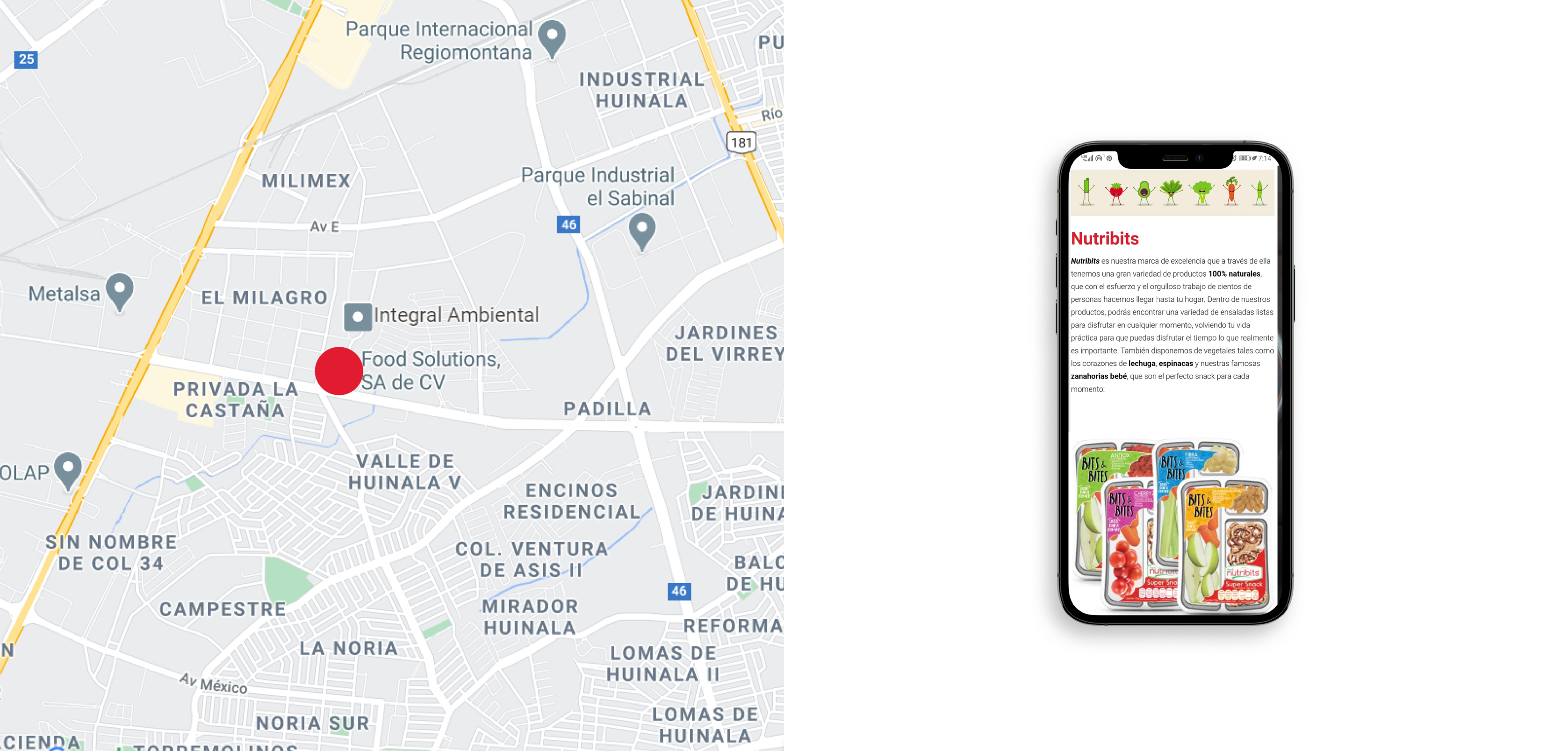 MEXICO，healthy，web design，website，ux/ui，red，sport，FOOD，