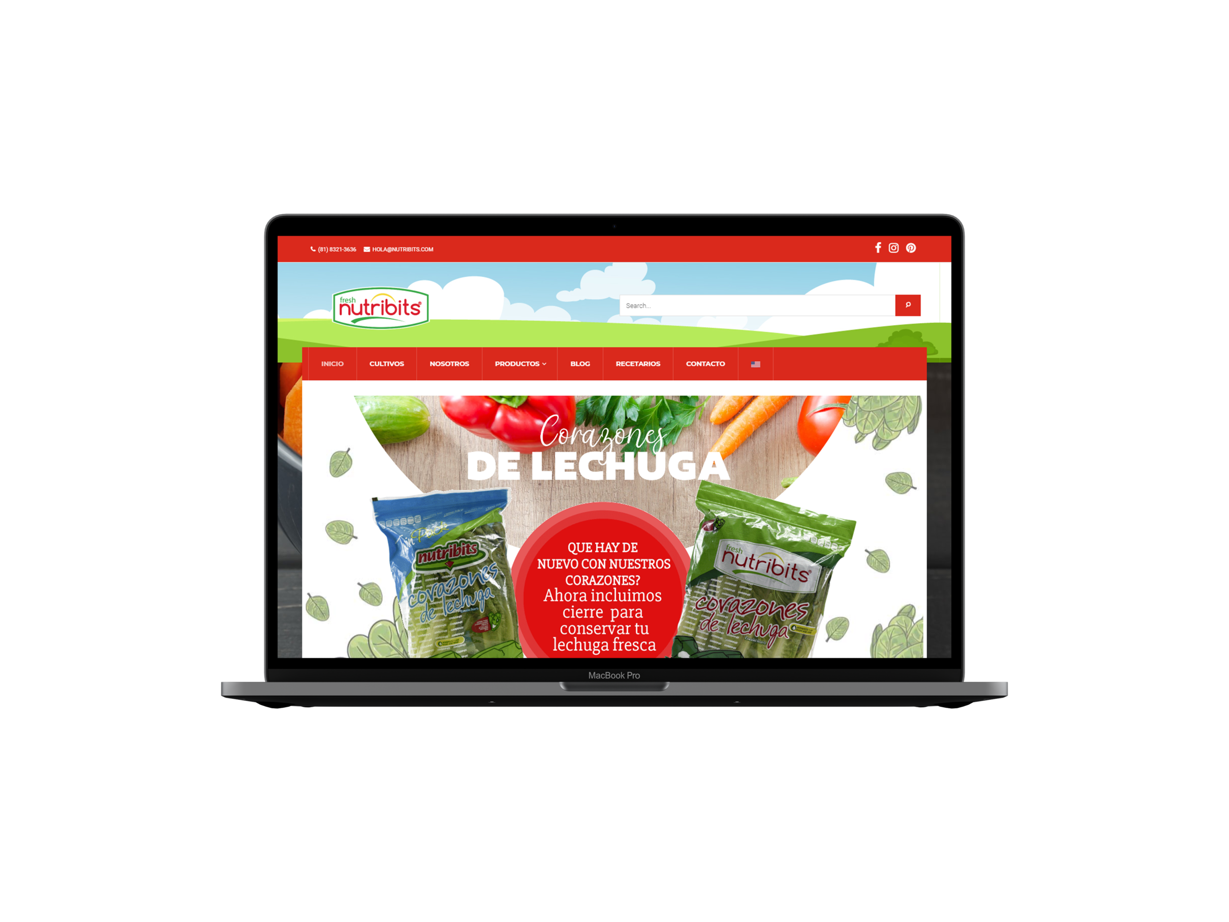 MEXICO，healthy，web design，website，ux/ui，red，sport，FOOD，