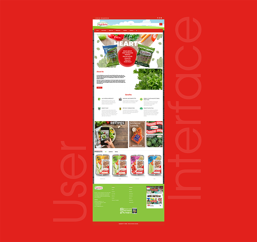 MEXICO，healthy，webdesign，website，ux/ui，red，sport，FOOD，