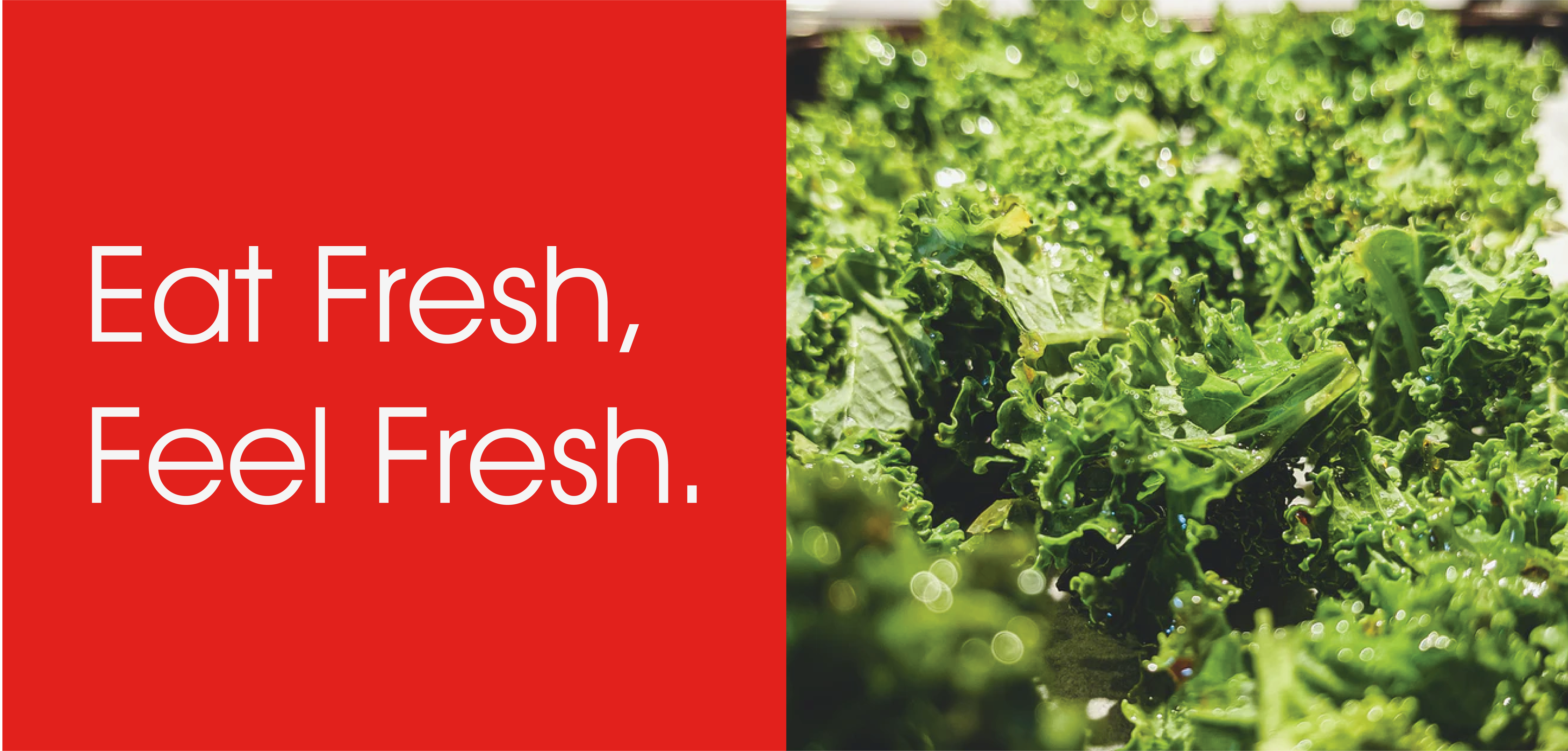 MEXICO，healthy，web design，website，ux/ui，red，sport，FOOD，