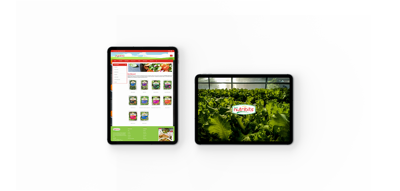 MEXICO，healthy，web design，website，ux/ui，red，sport，FOOD，