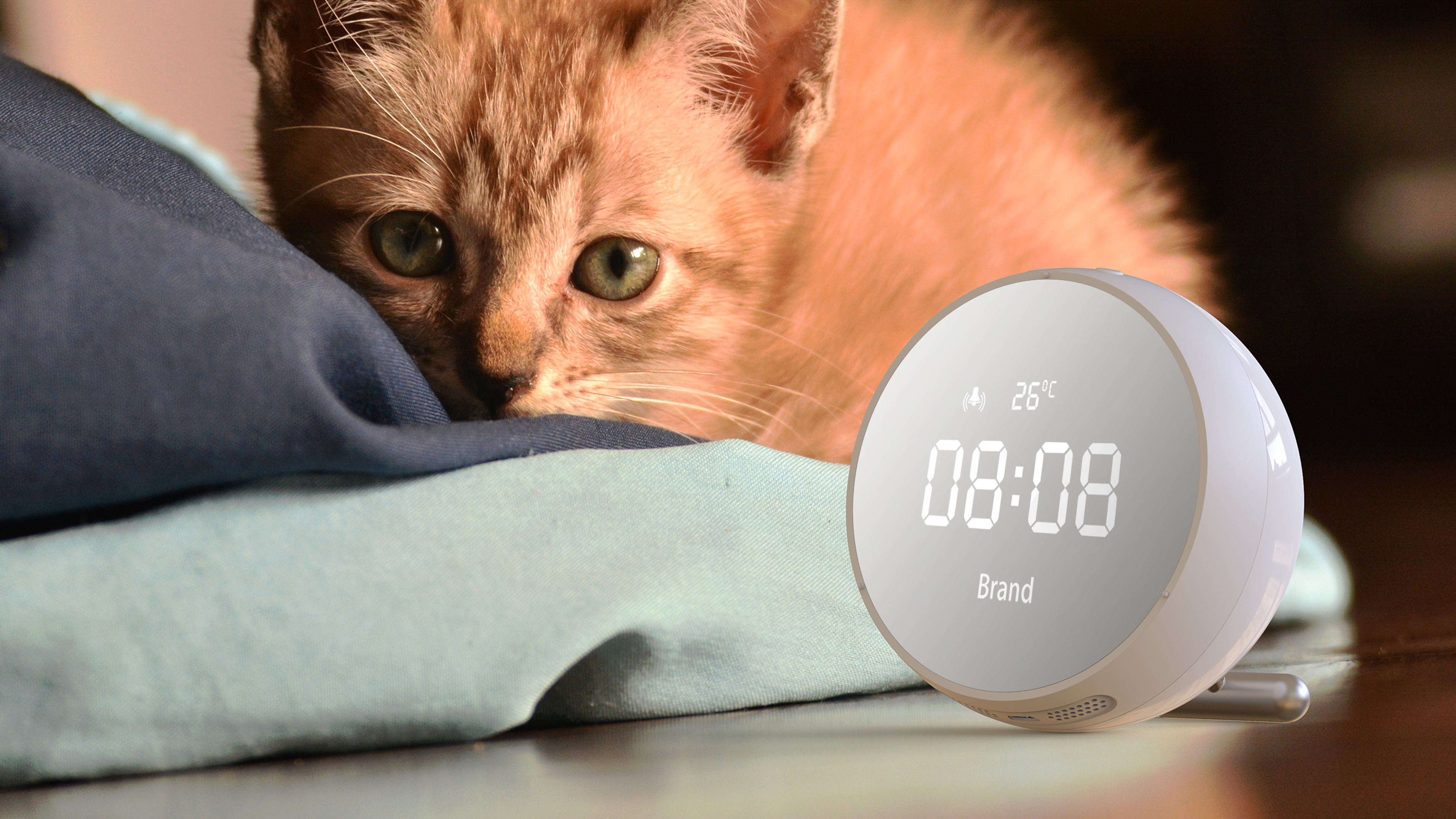 Clock，lamp，alarm clock，Cosmetic mirror，