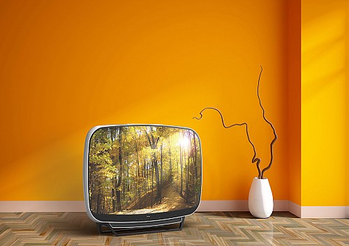 retro futurism ，concept，television，teleavia，retro，