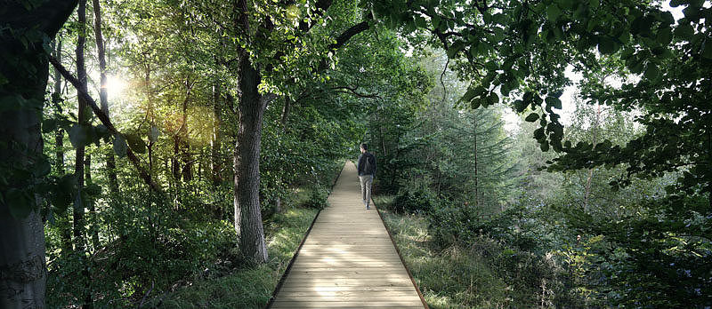 nature，screw，forest，three hundred and sixty，Viewing tower，