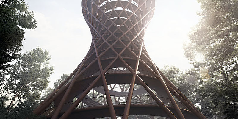 nature，screw，forest，three hundred and sixty，Viewing tower，