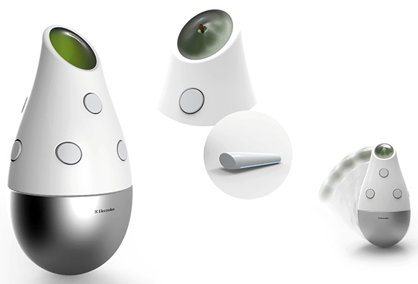 concept，kitchen，Culture pot，intelligence，Grow vegetables，