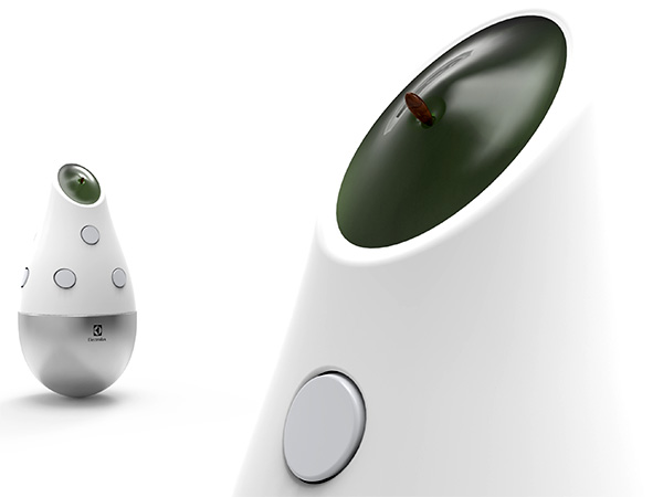 concept，kitchen，Culture pot，intelligence，Grow vegetables，