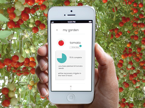 concept，kitchen，Culture pot，intelligence，Grow vegetables，