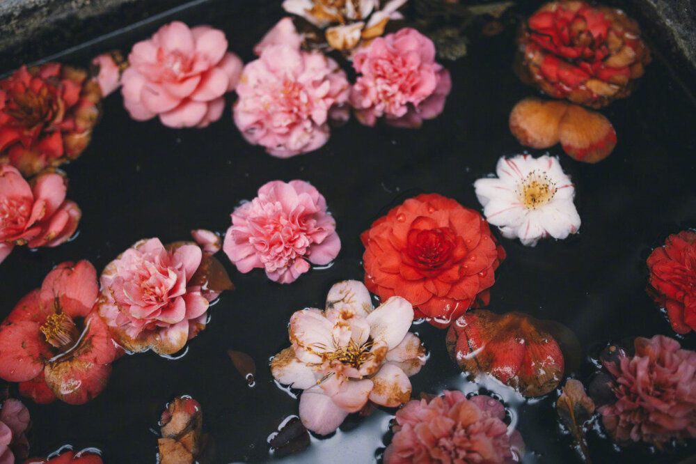 Soak feet，Bubble Bomb，health preservation，Home Furnishing，Foot ball，essential oil，