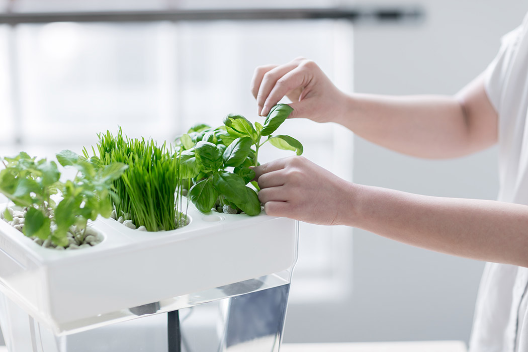 fish tank，vegetable garden，ecology，Automatic cleaning，Automatic feeding，