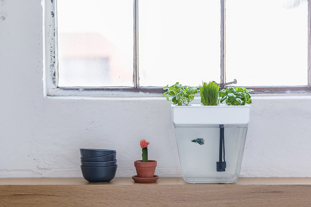 fish tank，vegetable garden，ecology，Automatic cleaning，Automatic feeding，