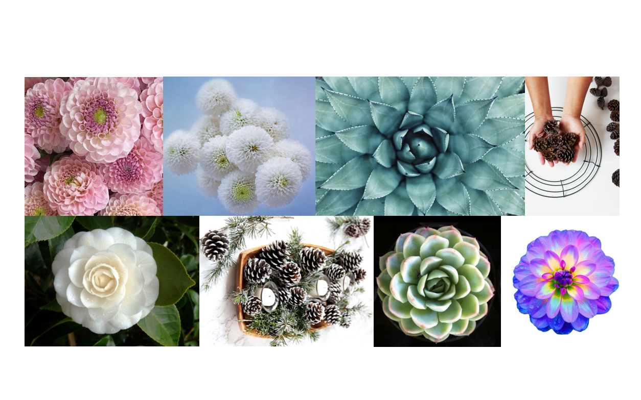 Shower，Bath and bathroom，shower，