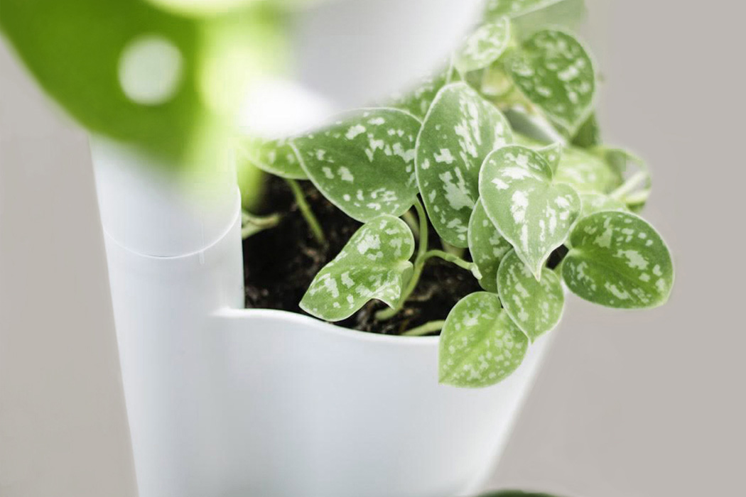 Citysens，gardening equipment ，Automatic irrigation，life style，