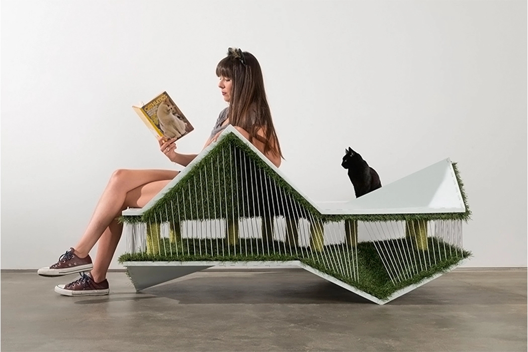 cat，chair，rest，