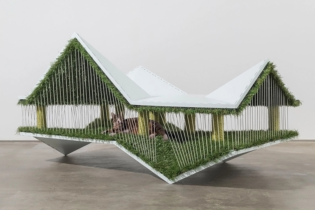 cat，chair，rest，