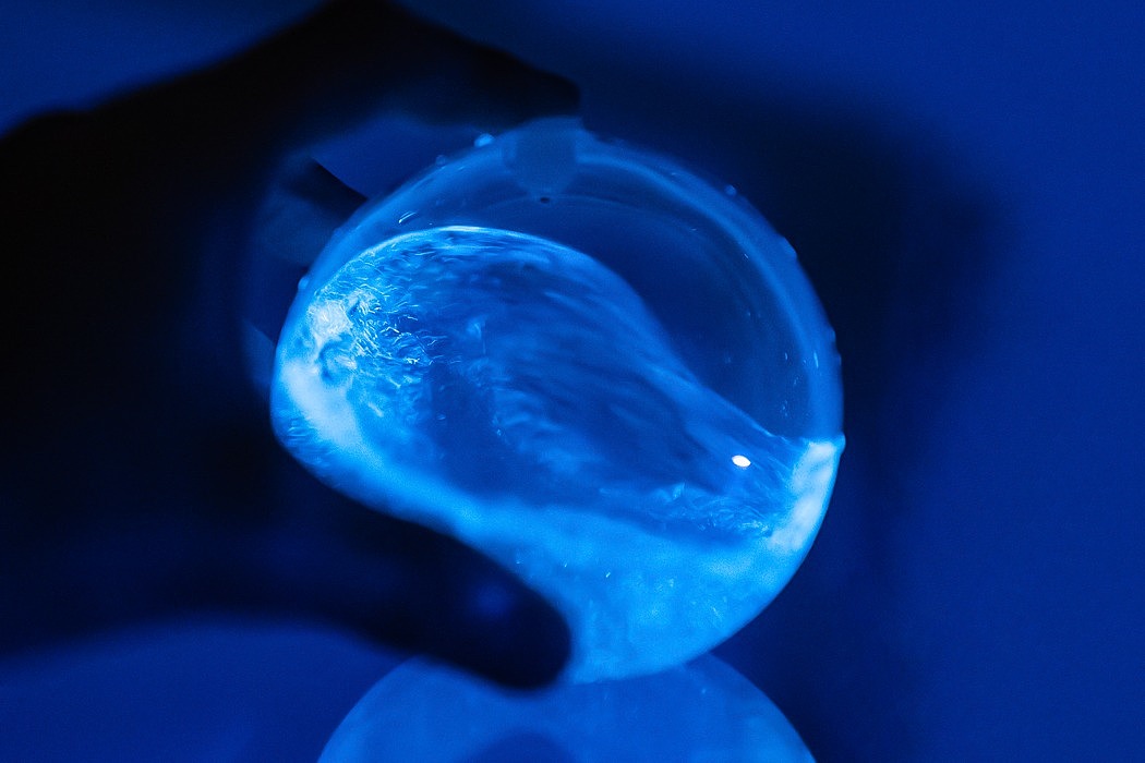 Biosphere，Manual blowing，Luminous algae，Biosphere，Manual blowing，
