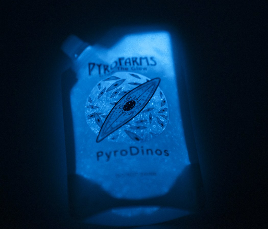 Biosphere，Manual blowing，Luminous algae，Biosphere，Manual blowing，