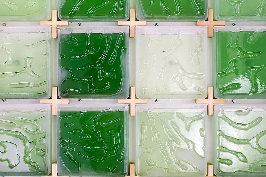 Indoor microalgae farm，The Coral，Coral reef，