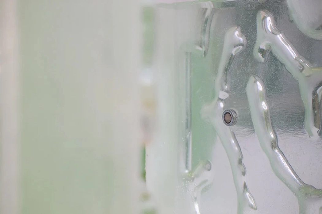 Indoor microalgae farm，The Coral，Coral reef，