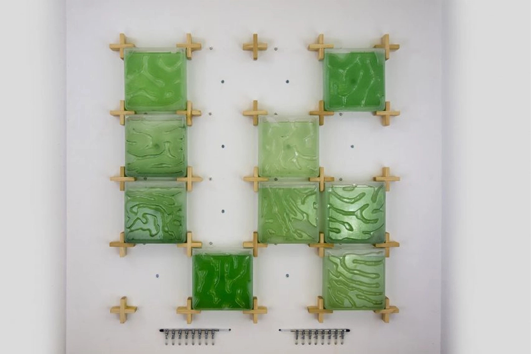 Indoor microalgae farm，The Coral，Coral reef，