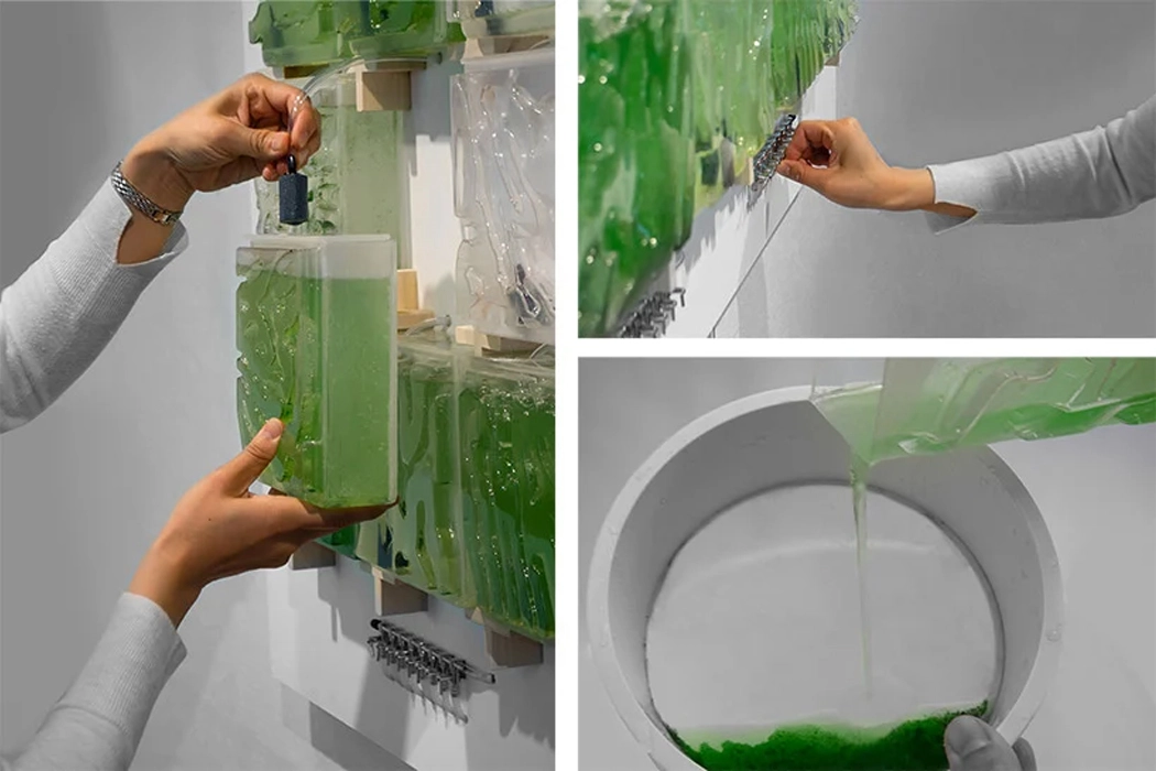 Indoor microalgae farm，The Coral，Coral reef，