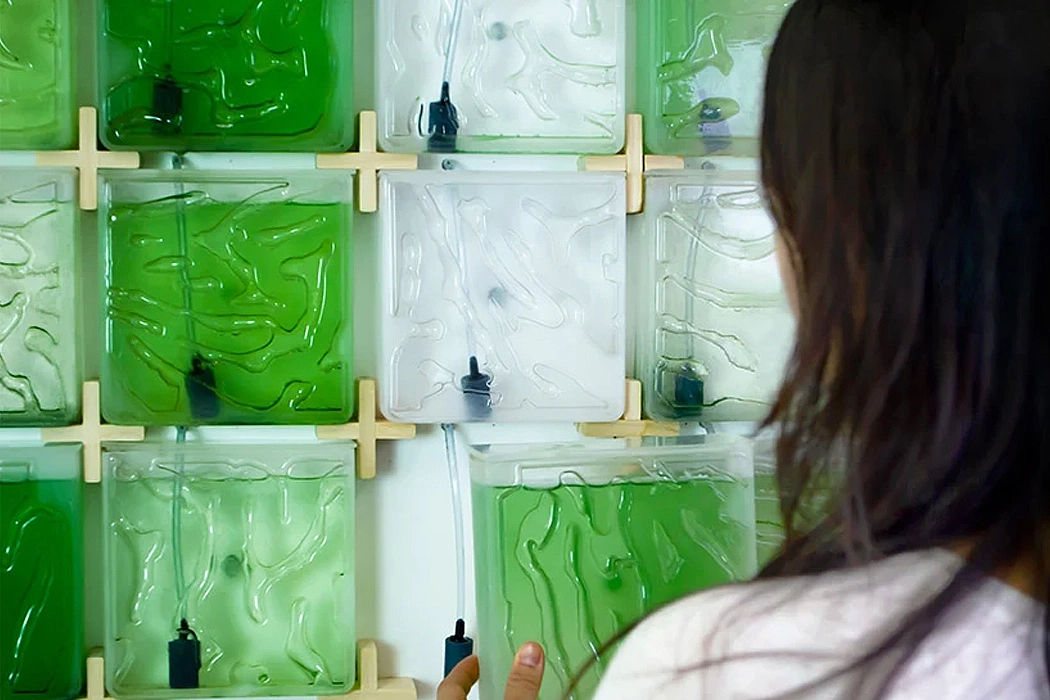 Indoor microalgae farm，The Coral，Coral reef，