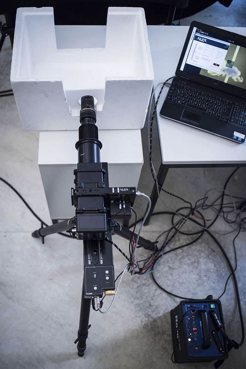 Switzerland，alpa，ALPA，105mm，insect，