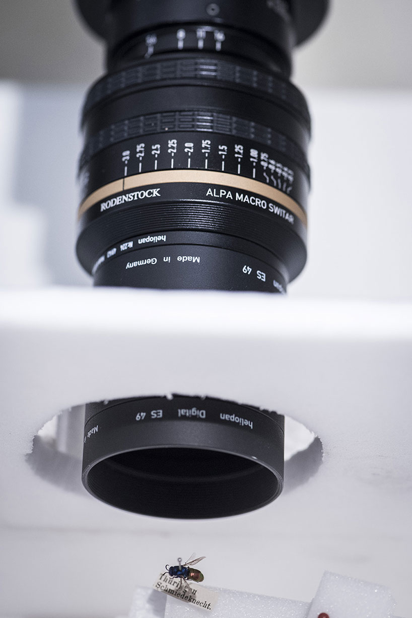 Switzerland，alpa，ALPA，105mm，insect，