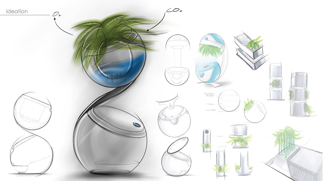 Flowerpot，ecosphere，Degradation of organic matter，Home Furnishing，