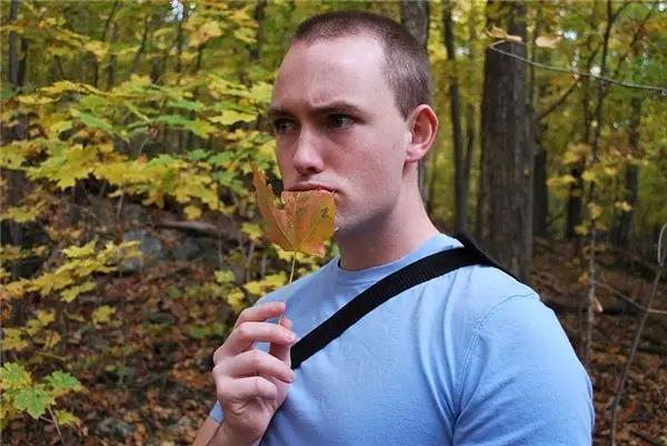 originality，Waste utilization，Sculpture，CD，