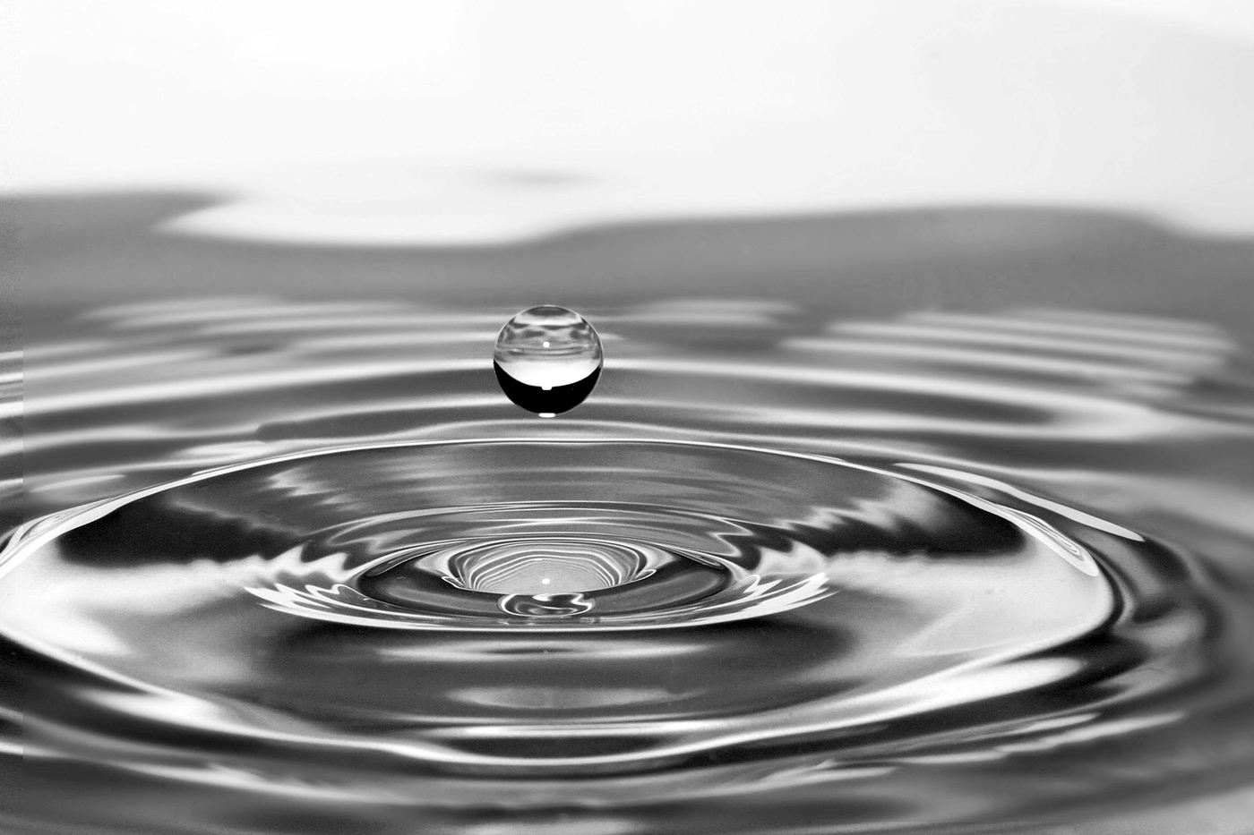 table，Watermarks，grasshopper，rhinoceros，