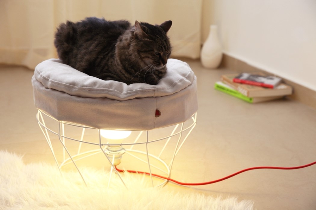 cat，furniture，stool，Pets，