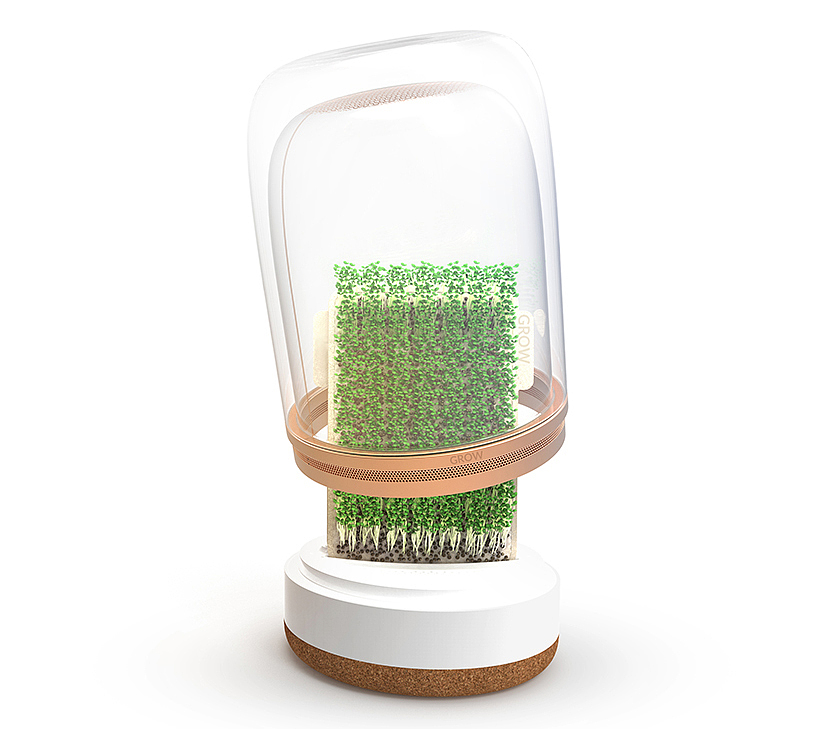 agricultural system ，Bean sprouts，intelligence，Malgorzate，