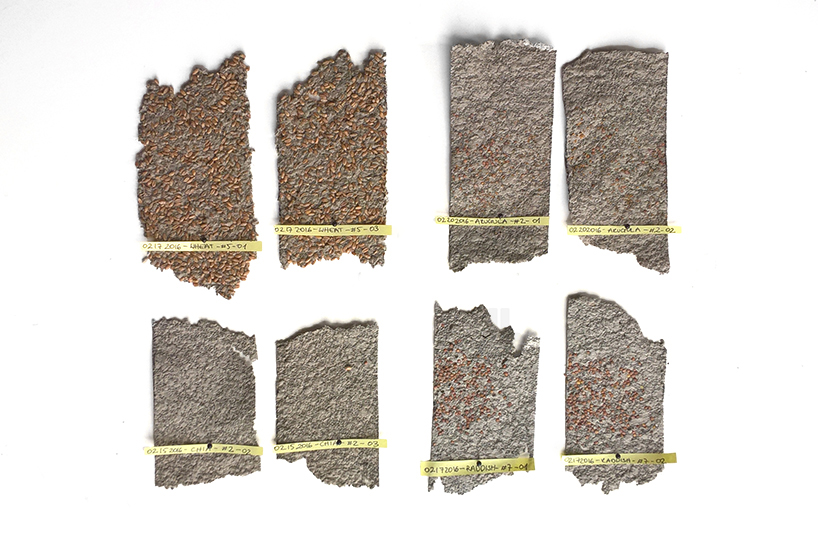 agricultural system ，Bean sprouts，intelligence，Malgorzate，