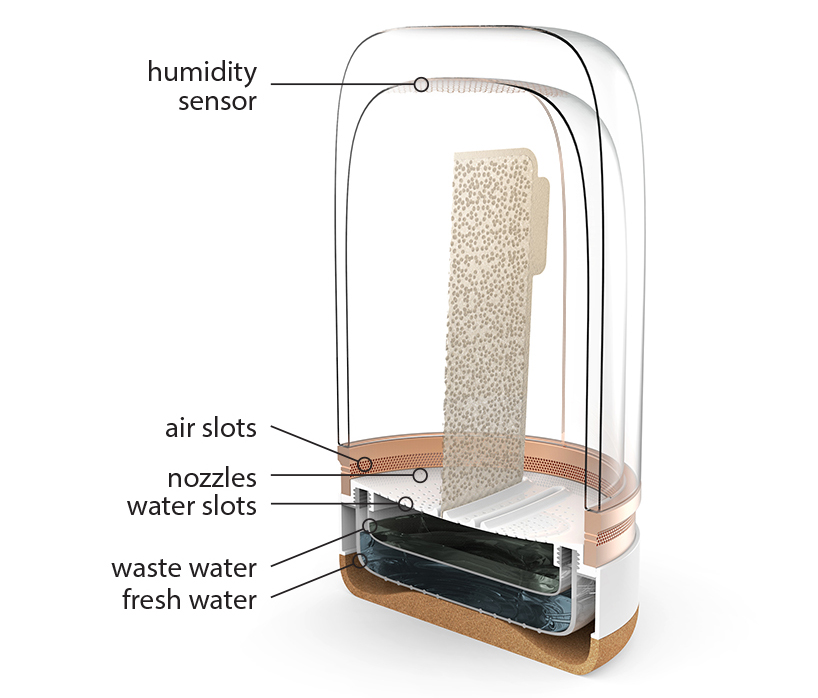 agricultural system ，Bean sprouts，intelligence，Malgorzate，