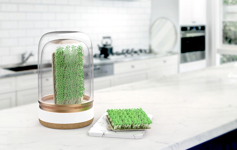 agricultural system ，Bean sprouts，intelligence，Malgorzate，