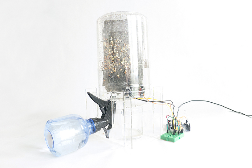 agricultural system ，Bean sprouts，intelligence，Malgorzate，