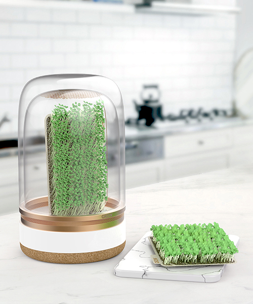 agricultural system ，Bean sprouts，intelligence，Malgorzate，