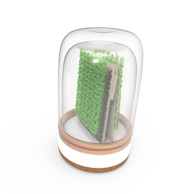 agricultural system ，Bean sprouts，intelligence，Malgorzate，