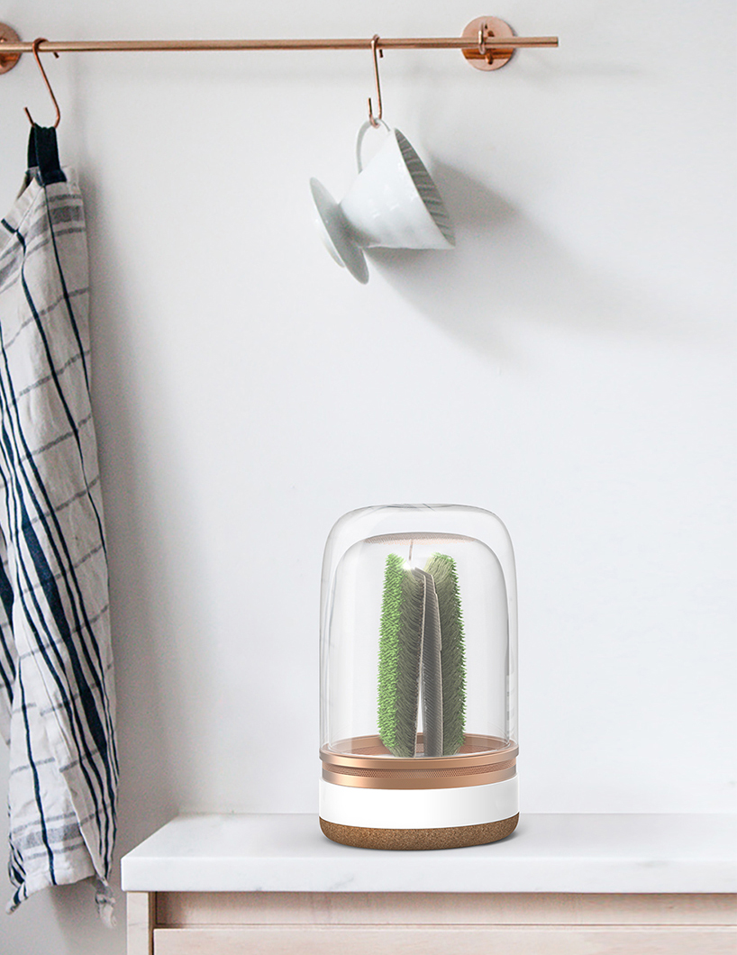 agricultural system ，Bean sprouts，intelligence，Malgorzate，