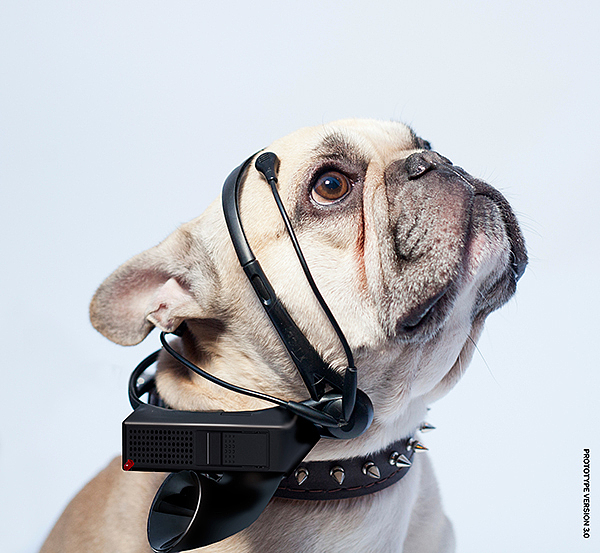 Pets，Wearable，Digital intelligence，Electronics，