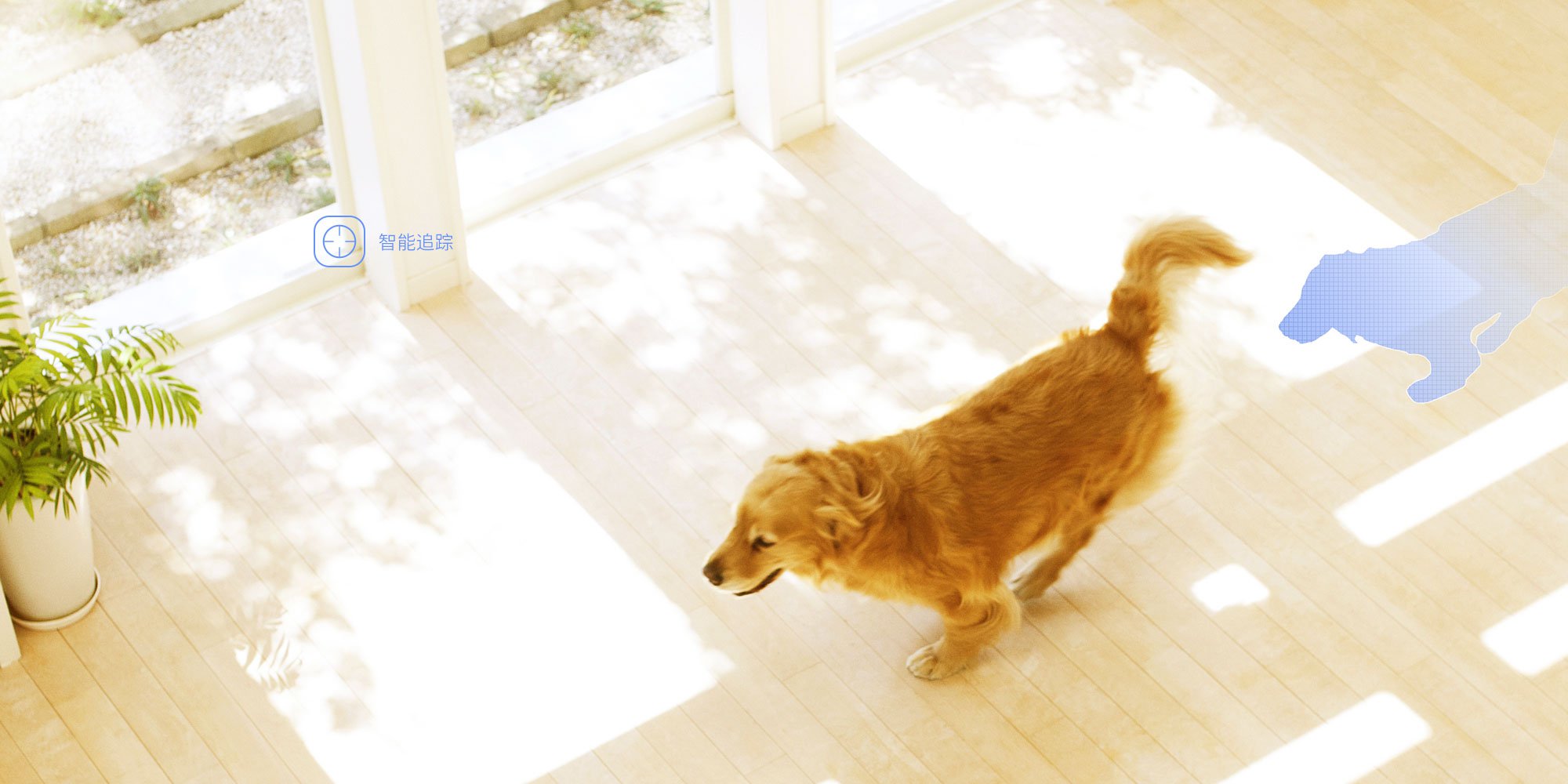 Mobile tracking，three hundred and sixty，video camera，intelligence，