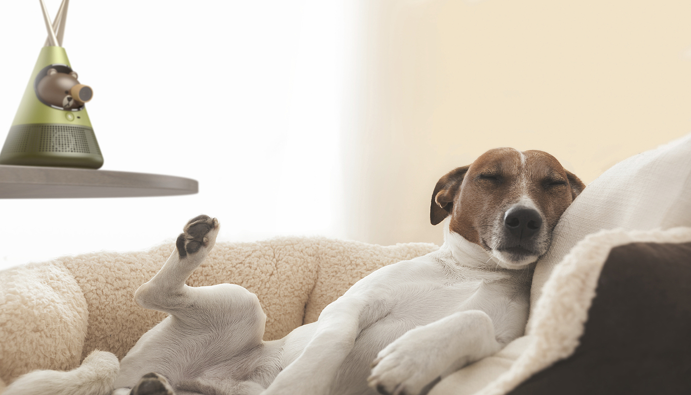 artificial intelligence，Pet intelligent device，Pet social，line，Dog equipment，
