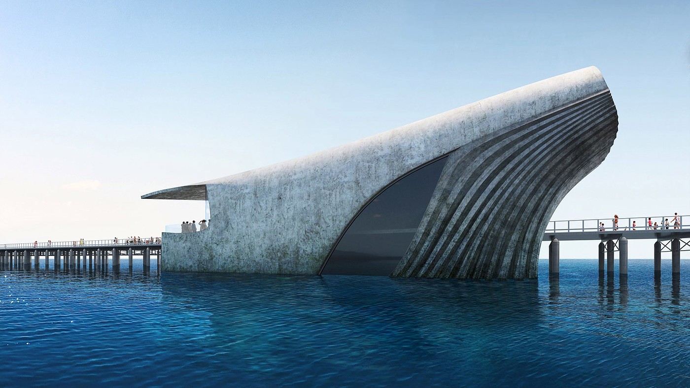 Baca Architects，海洋观测站，鲸鱼，水下，