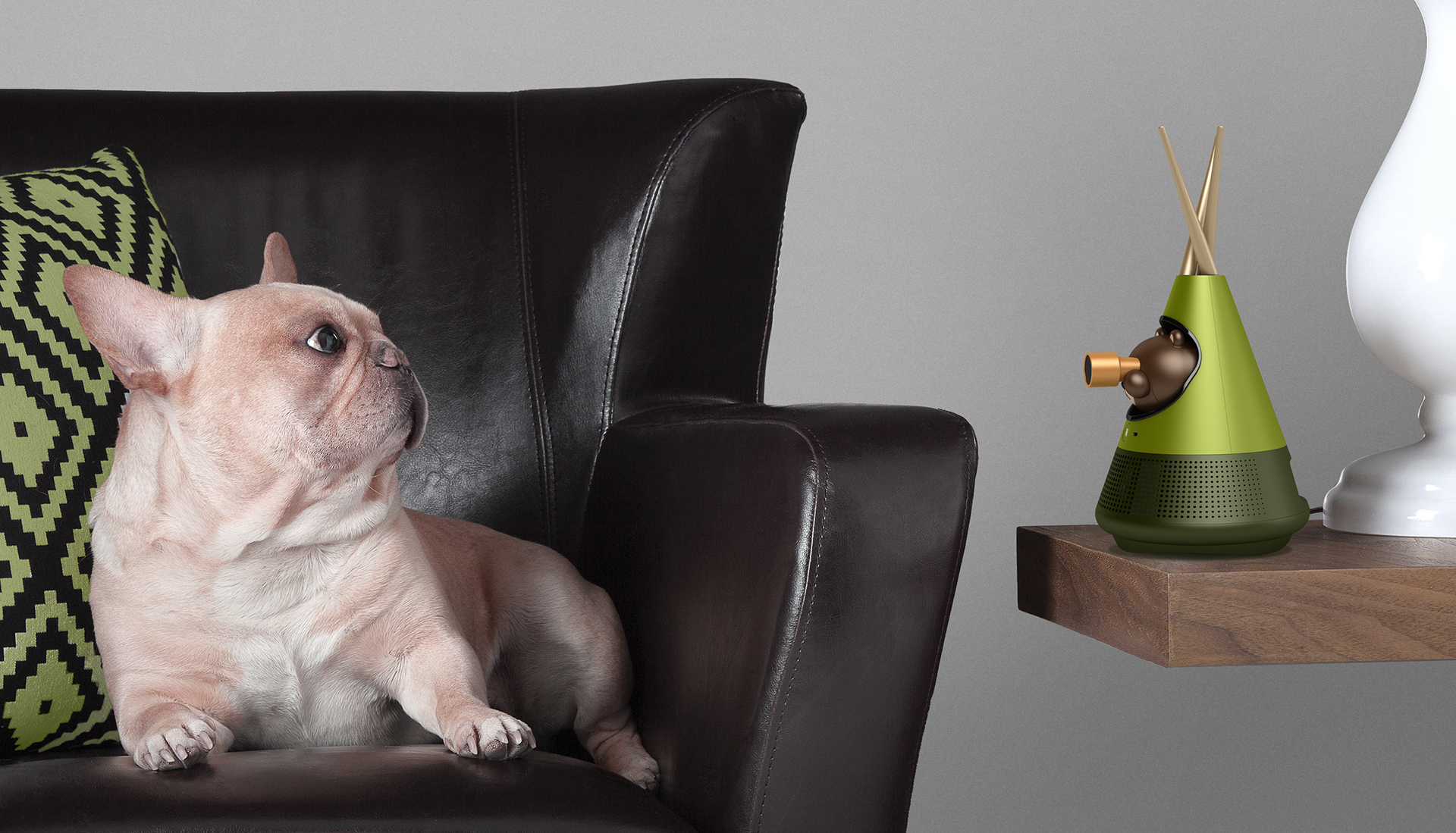 artificial intelligence，Pet intelligent device，Pet social，line，Dog equipment，