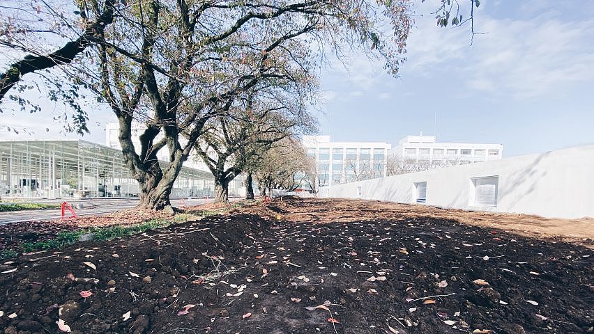 Architecture，Cat，square，Junya Ishigami，
