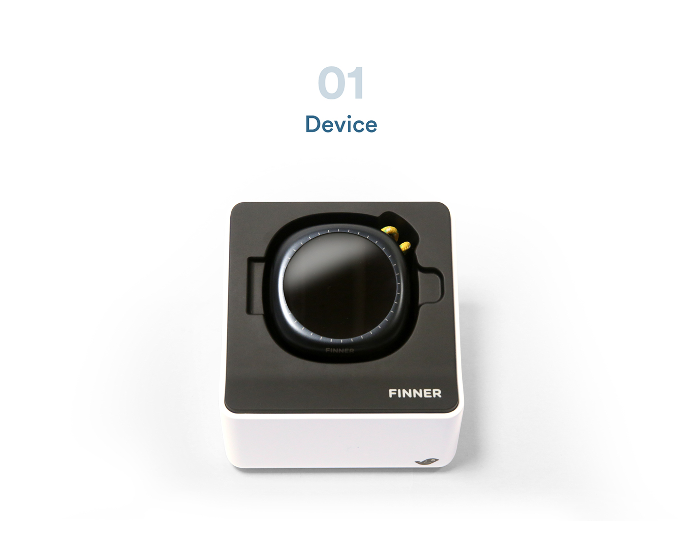 app，Fishing partner，Novice beginner，Fishing gear，