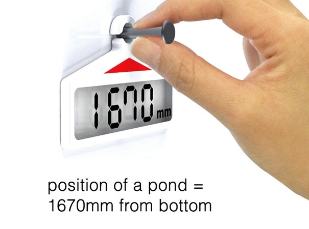 if，two thousand and eleven，