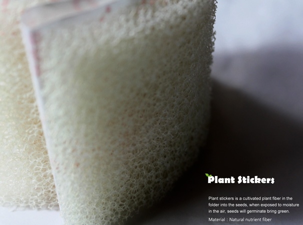 if，two thousand and eleven，