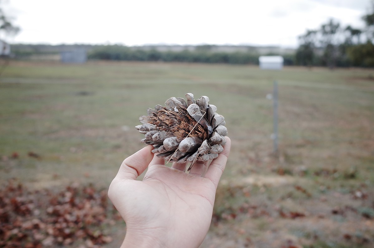 fracture，self-winding ，Pneumatic equipment，Pneumatic splint，Medical tools，